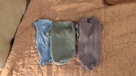 Set of 3 cat shirts/onesies