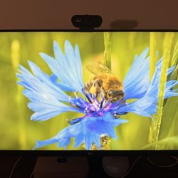 LG 4K Monitor