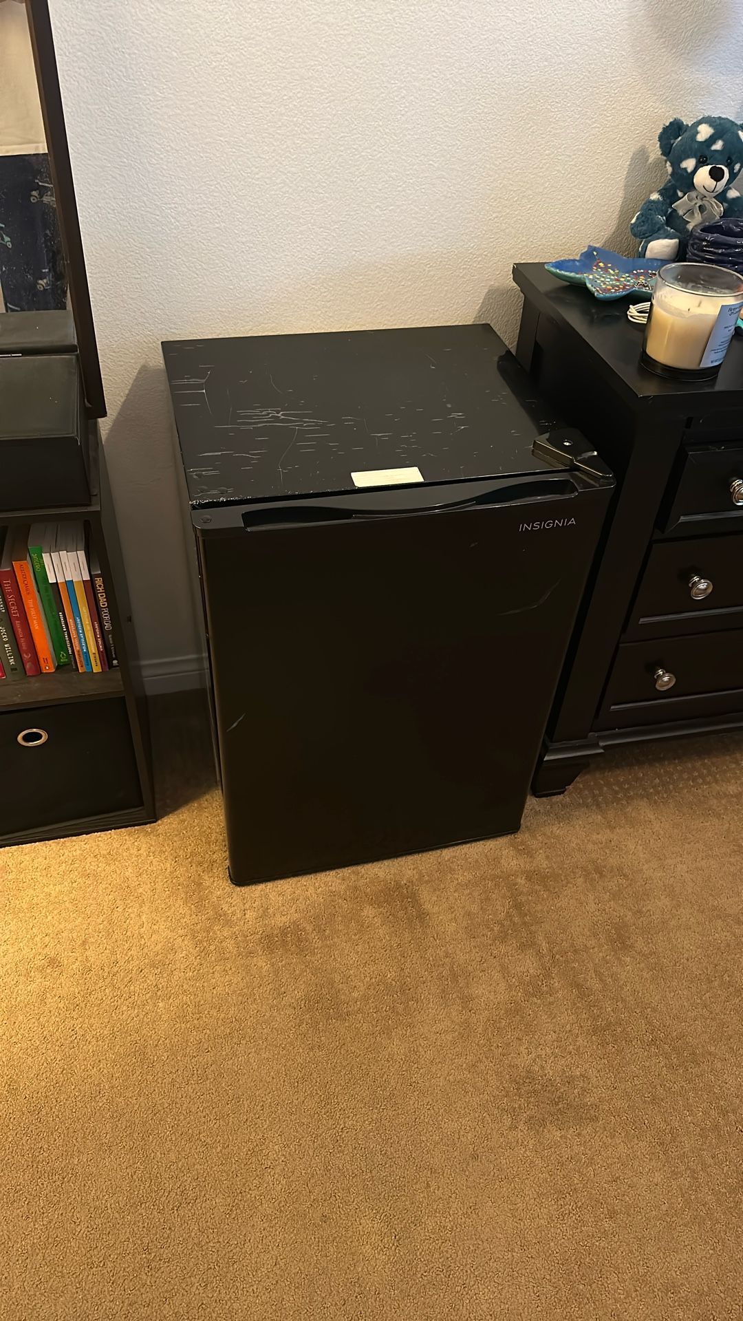 Mini Fridge