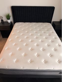 Black Velour Queen-Size Bed with mattress included