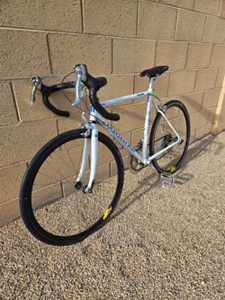 Quintana Roo Palomar Steel Road Race Tri Bike 650c 49cm Small Frame
