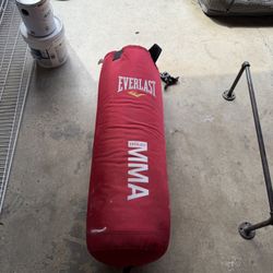 Everlast MMA Punching Bag
