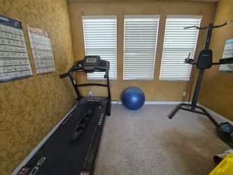 Treadmill, yoga ball and pull up bar