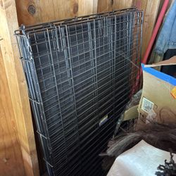 Huge Cage