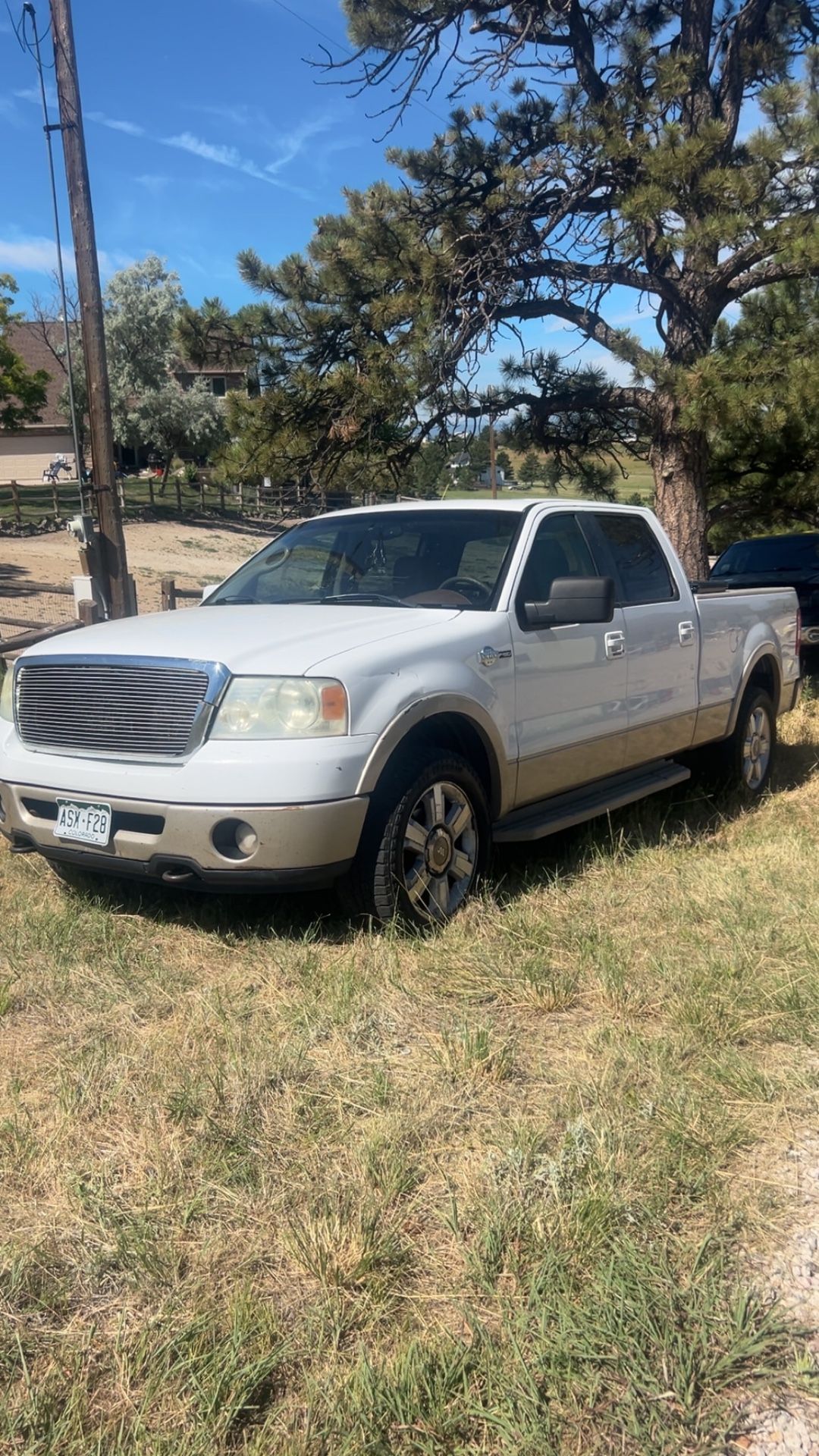 Ford King ranch