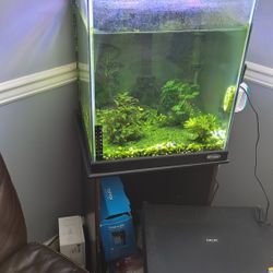 FREE FISH TANK and ACCESSORIES 