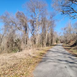 16.5 Acre Lot For Sale 