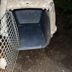 Free  Dog 🐕 Kennel 