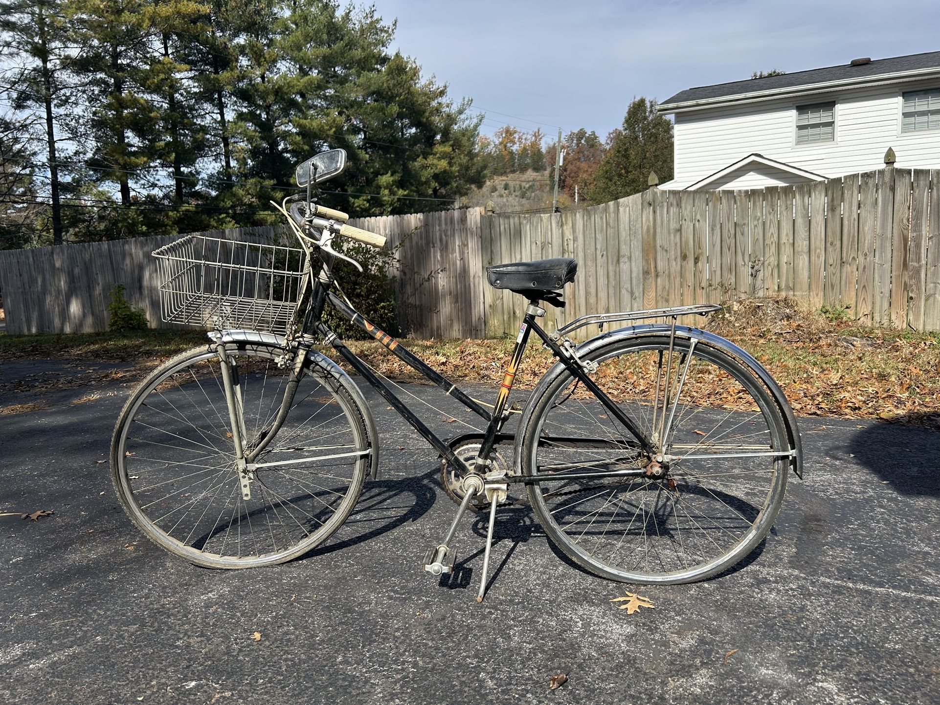 Vintage Sears Bike