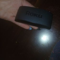 Roku Plug In 