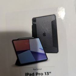 IPad Pro 13" Case