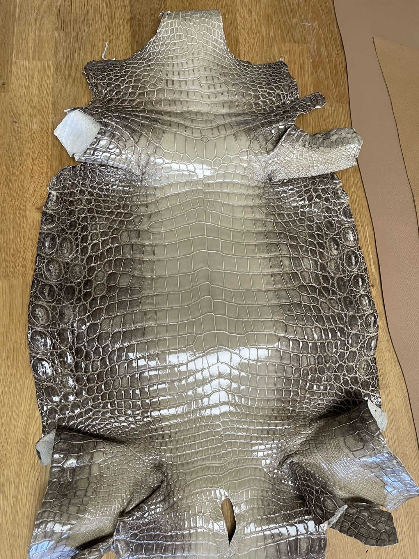 Crocodile hides Genuine Himalayan Crocodile Hides