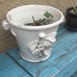 Beautiful plant pot with Live fern Pot 