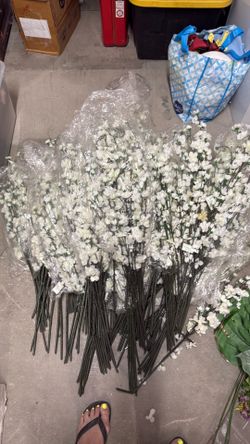 Flower 🌹