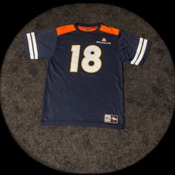 Vintage NFL AFC WEST Peyton Manning #18 Denver Broncos Jersey