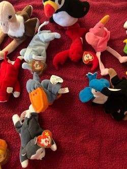 Collector Ty beanie babies