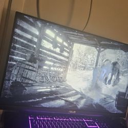 Asus 170hz 2k Gaming Monitor 30 Inch