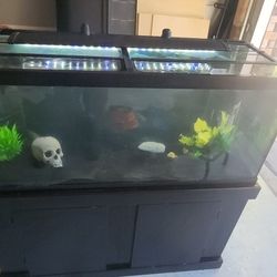 75 Gallon Aquarium With Stand And Fluval Fx-6
