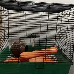 Cage 