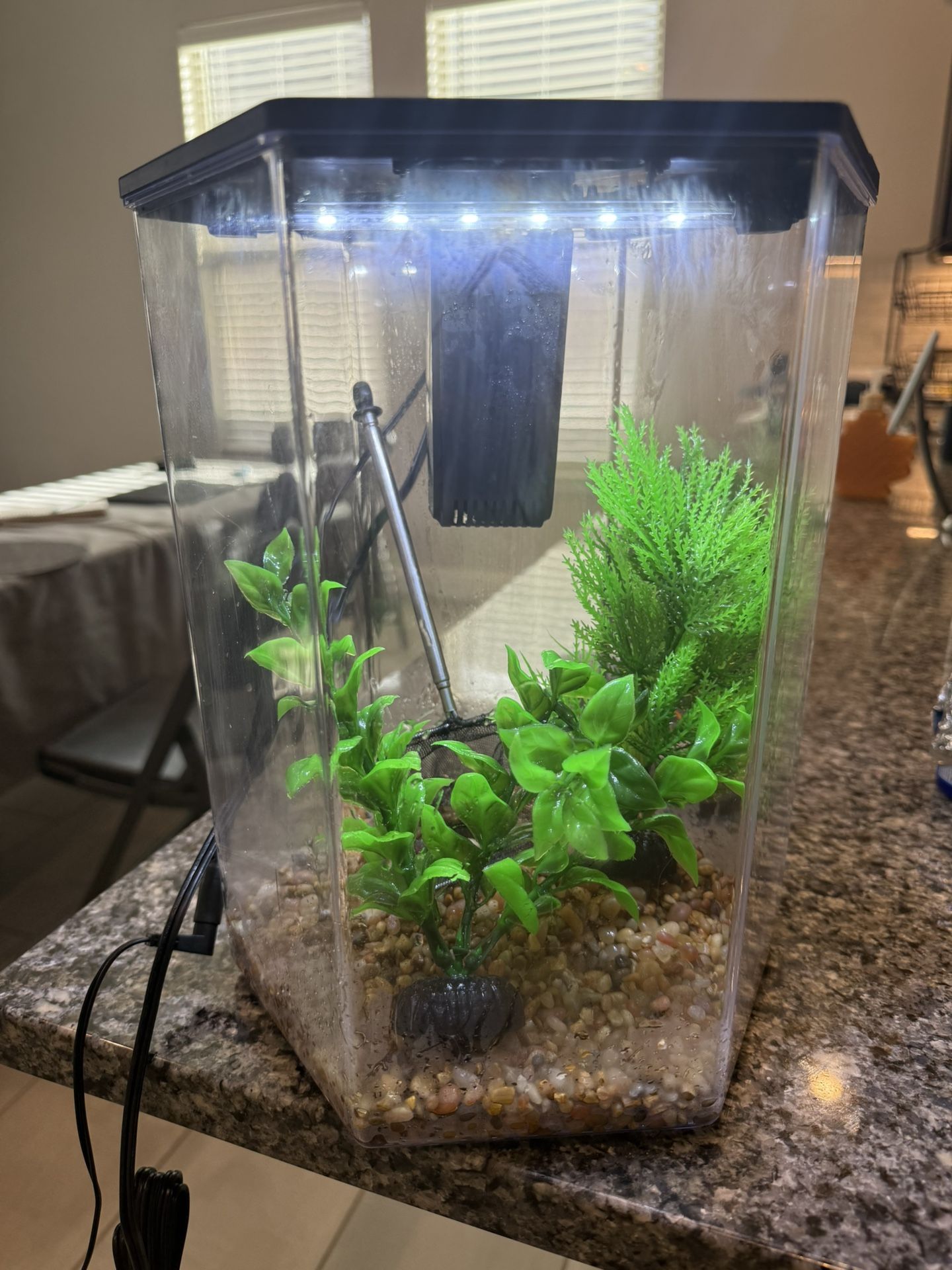 Fish Bowl With Everything Inside