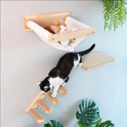 Cat Wall Furniture, 3 Pack Kitten Shelves Set
Solid Rubber Wood Kitten Shelf for Sleeping, Playing, Climbing and Lounging
