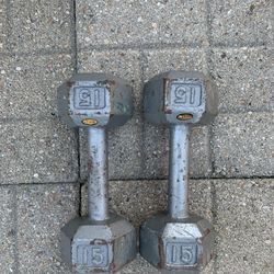 15 Pound Dumbbells 