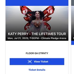 Katy Perry Concert 