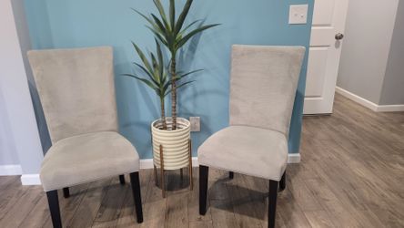 Set of 2 Modern Gray Upholstered Dining / Accent Chairs (Plant Not Included)
