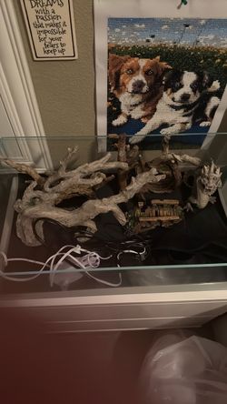 Fish accessories