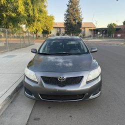 2010 Toyota Corolla