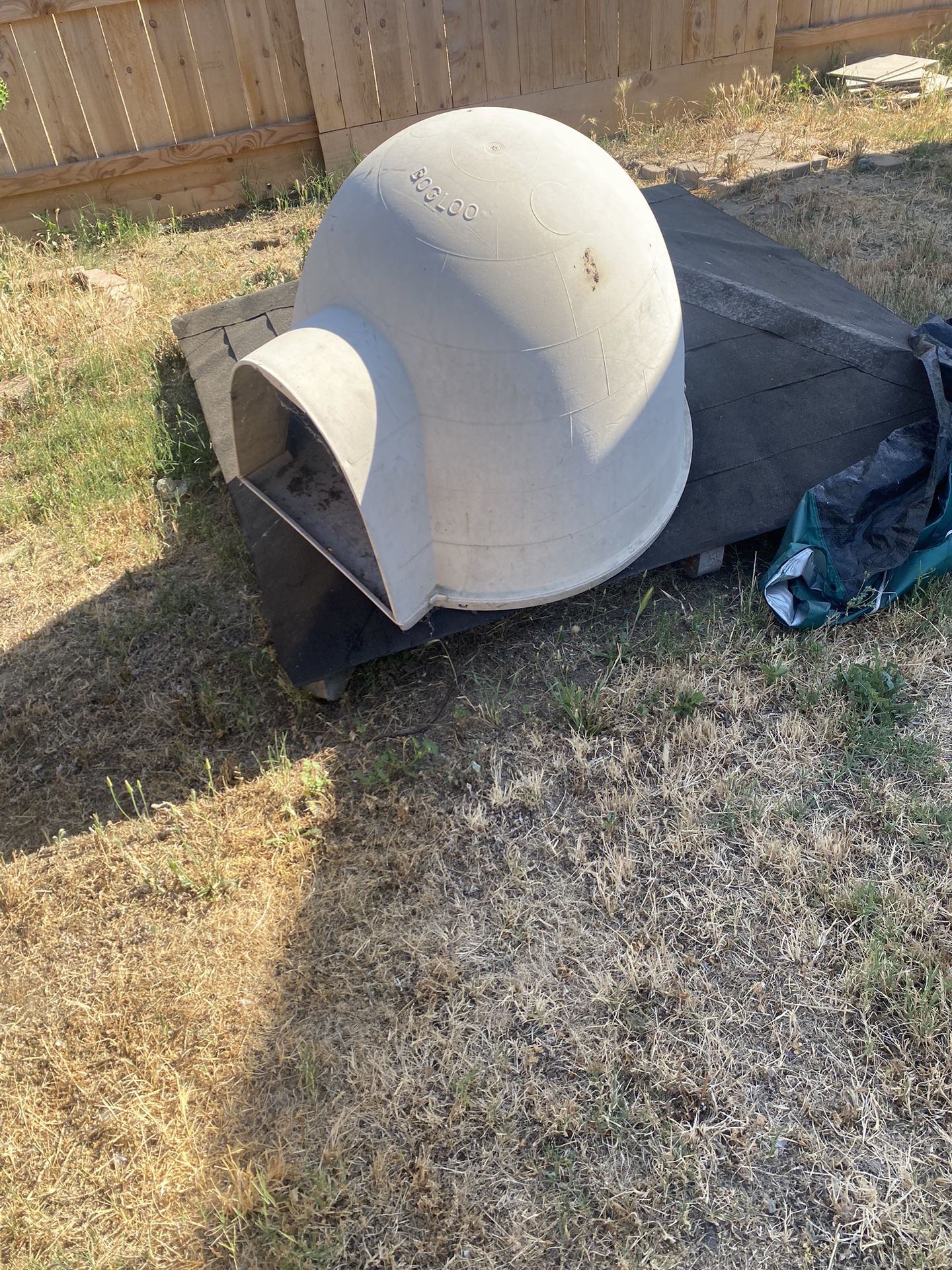 Xl Igloo $60