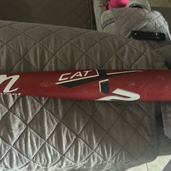 Marucci CatX 2 USA Bat. 