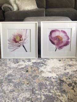 Picture pair