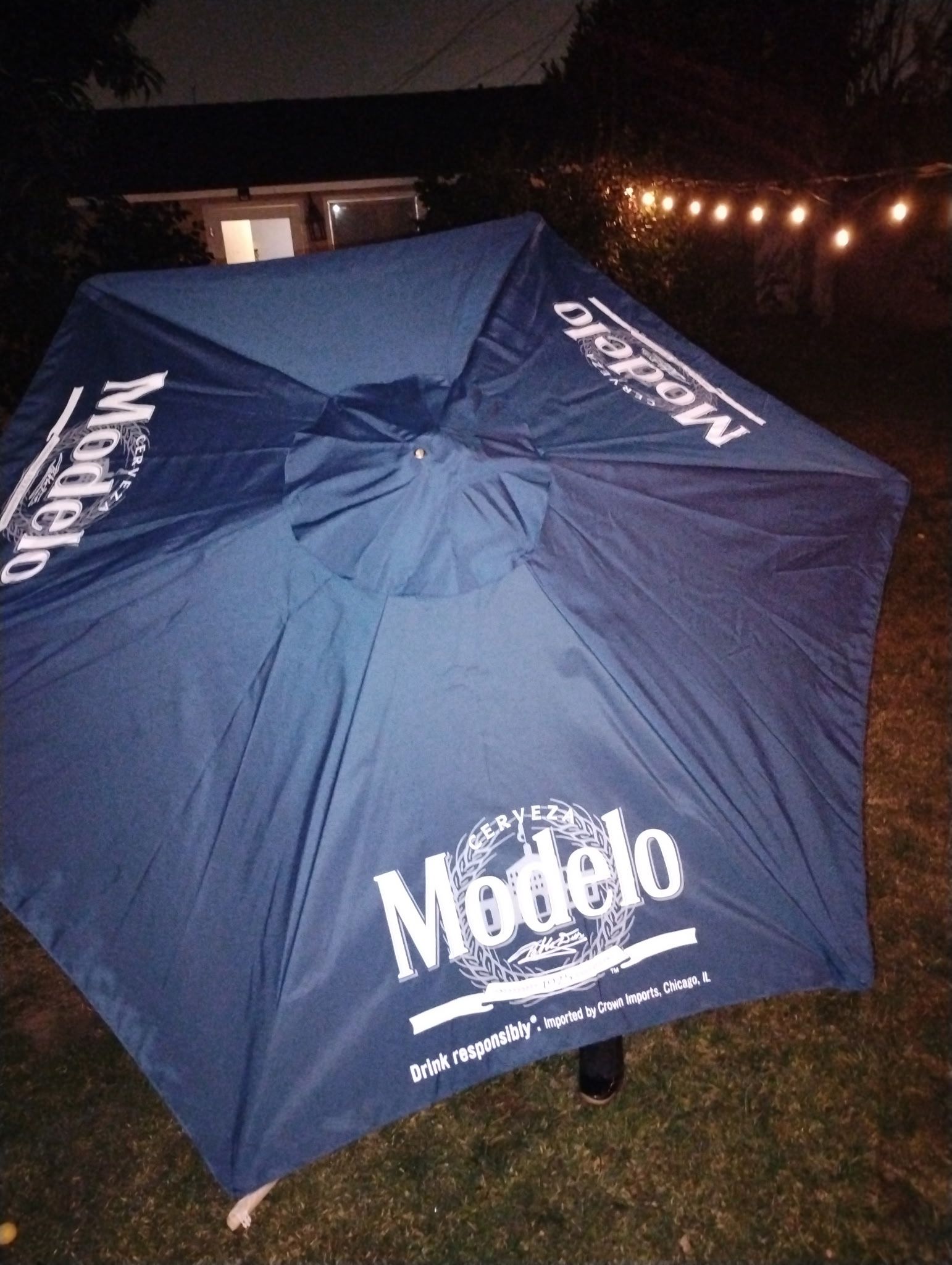 Umbrella 