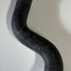 Scion Tc Belt and Radiator hose