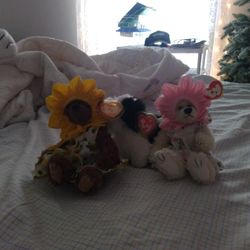 Ty Flower Bears And Dog