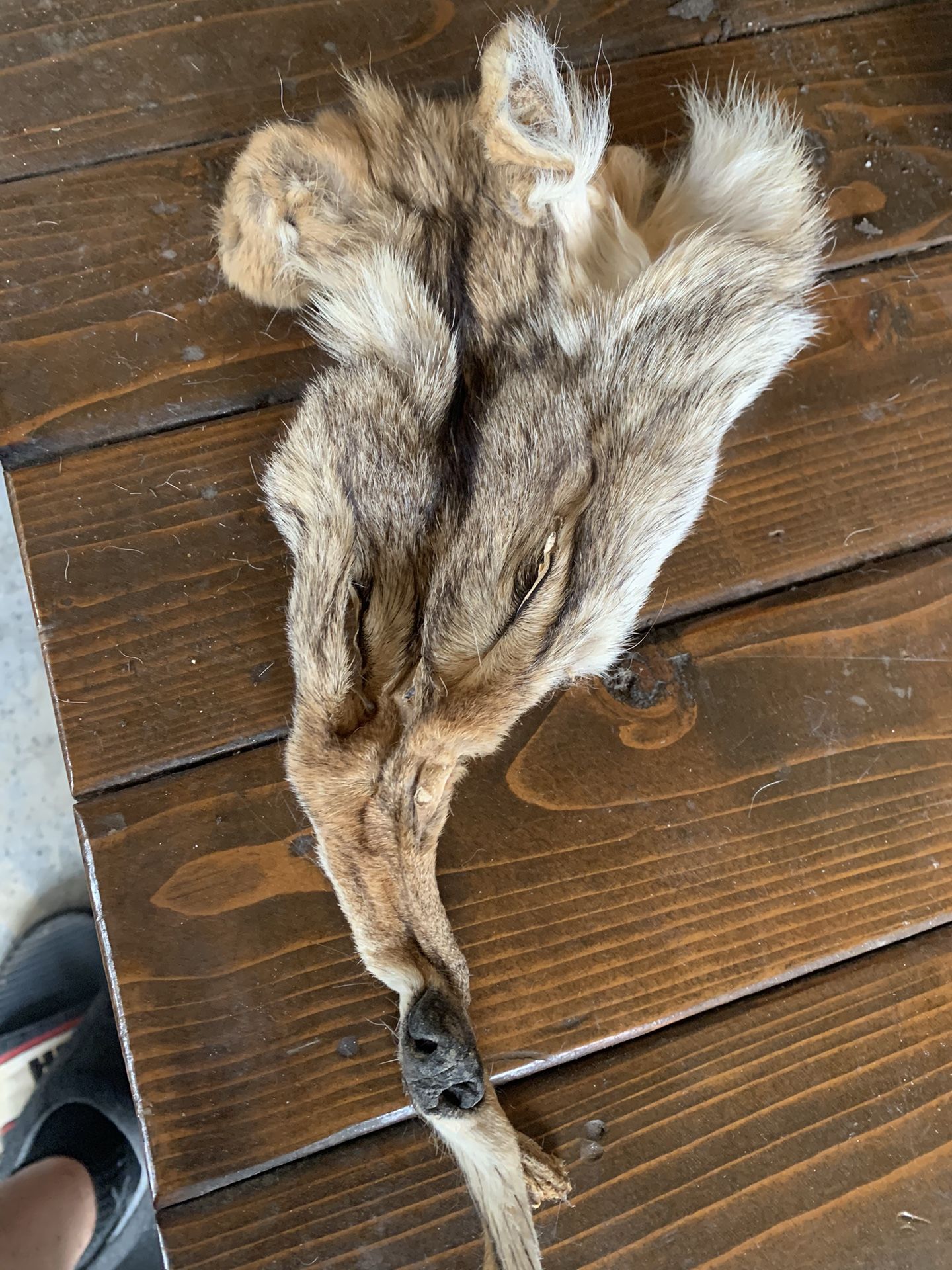 Fox Fur