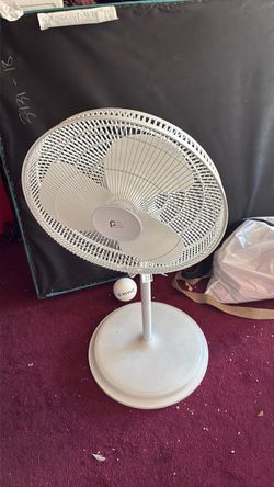 Fan