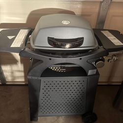 brand new camping bbq grill  (green botom) & propane too
