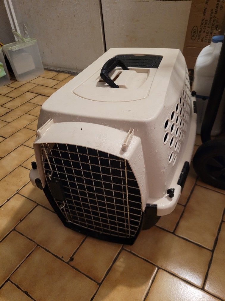 Cat Or Dog Carrier