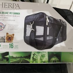 Medium Pet Carrier -airplane Approved 