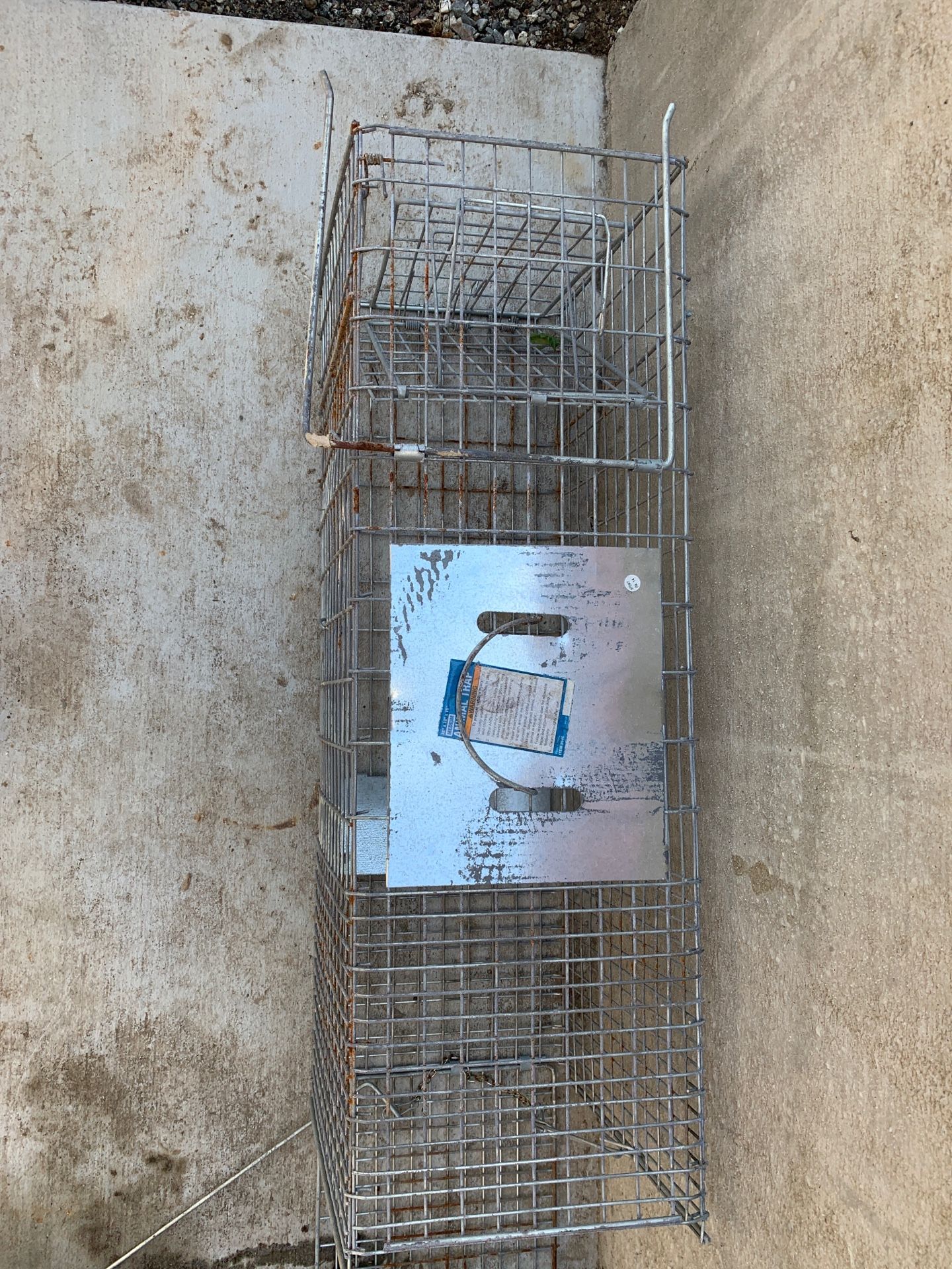 Metal wire animal cage/trap