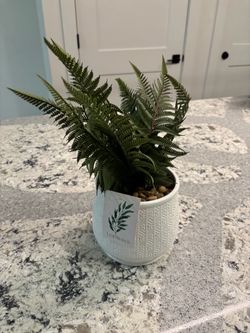 Leaf Branch Fern in White Ceramic Pot