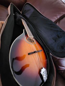 Gold Tone GM 50+ Mandolin