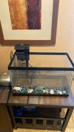 10 gallon Aquarium with filter and air pump with 4 connectors for only $30