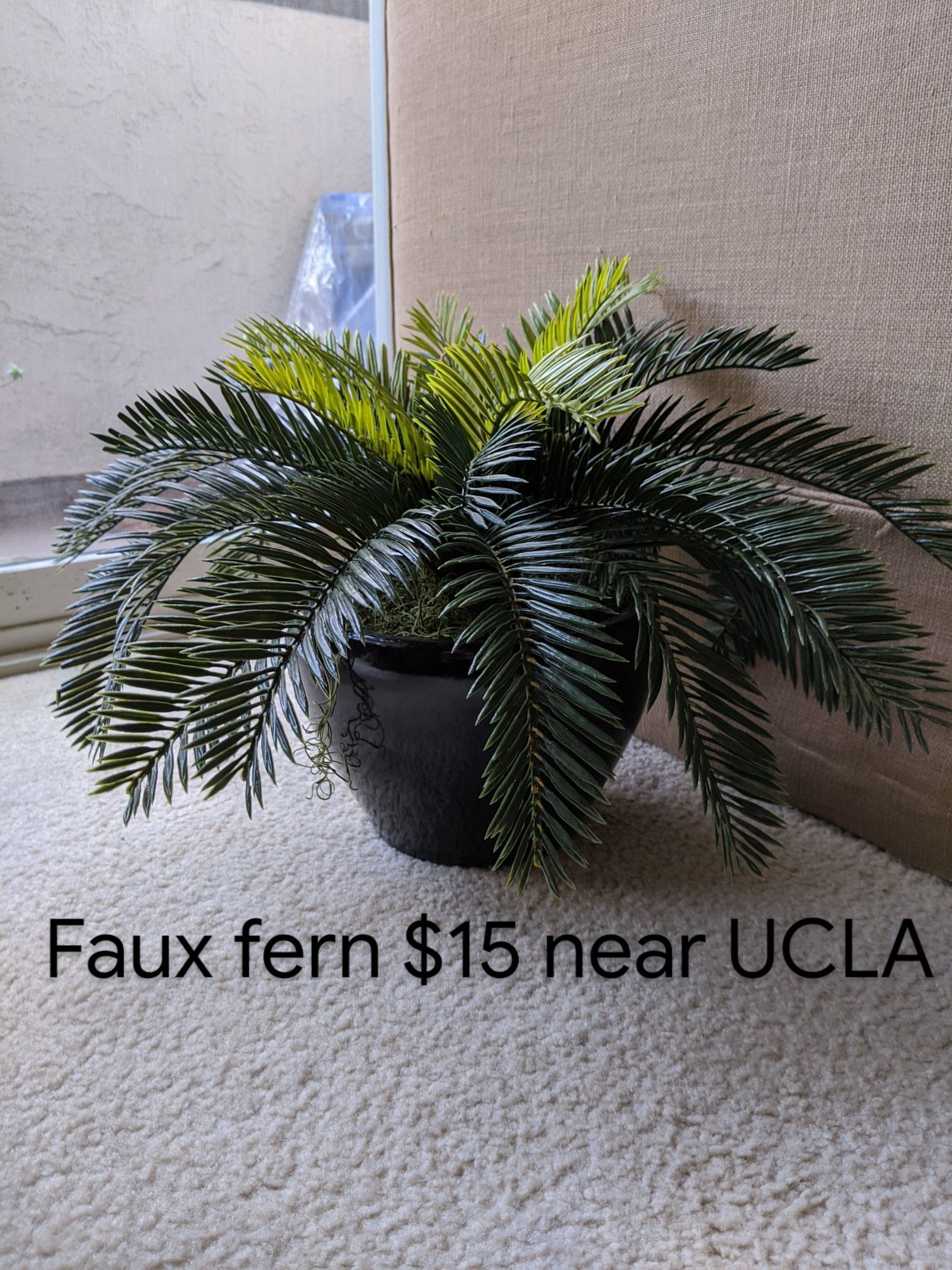 Fake fern house plant, 20" wide x 12" tall
