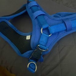 Dog Collar 