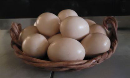 Vintage Viemero Alcobaca Ceramic Egg Basket