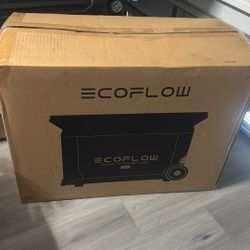 Ecoflow Delta pro