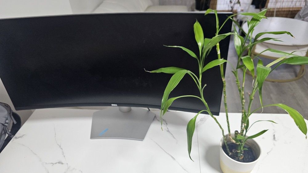 32' Curve Monitor Dell